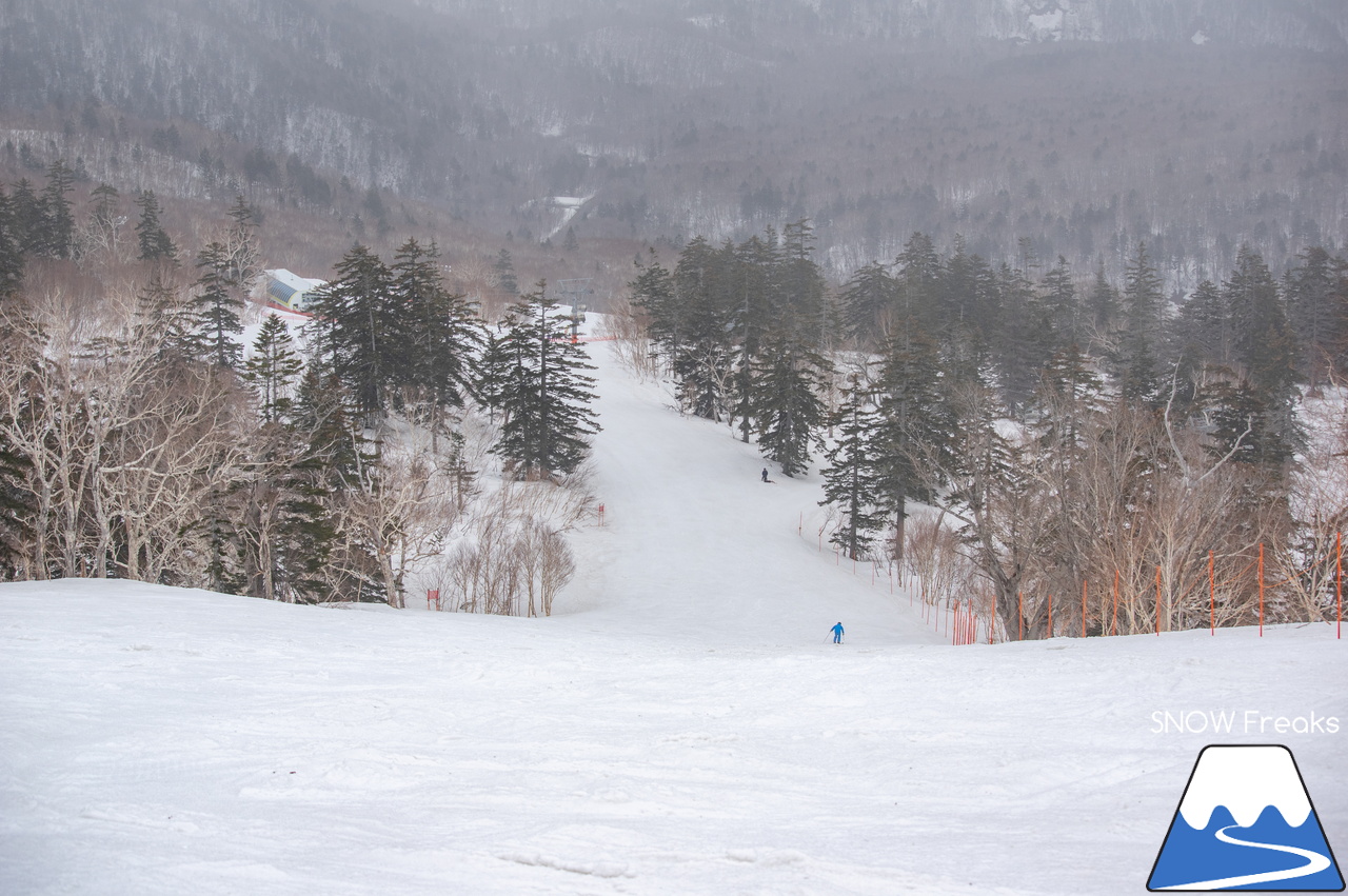 札幌国際スキー場｜山頂の積雪は、300cm！連日の春スキー＆スノーボード日和から一転、今日は冬が帰ってきました♪